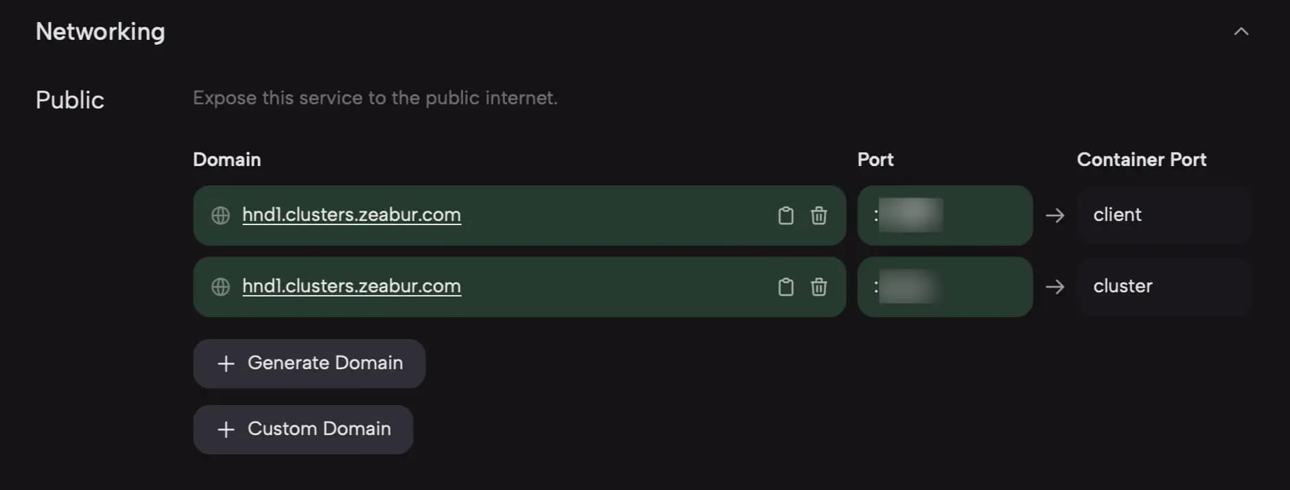 Assigned hostname and port